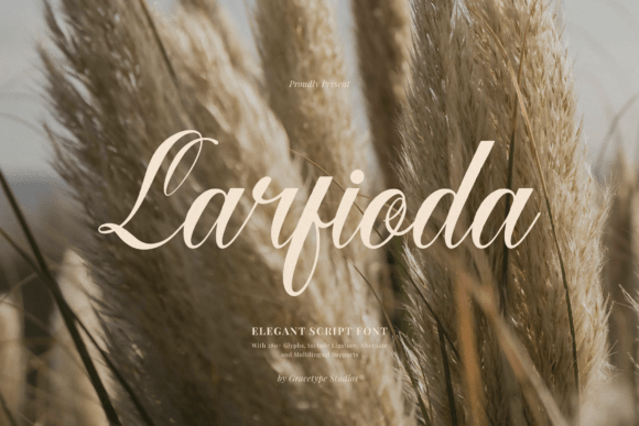 Larfioda: A Script Typeface for Editorial Elegance